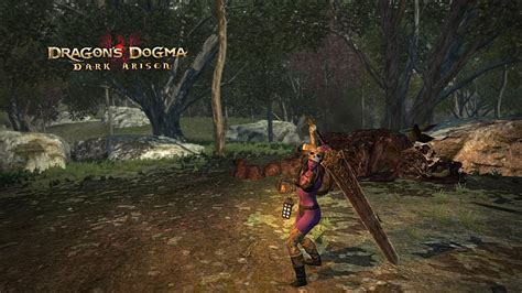 dragon's dogma best longsword.